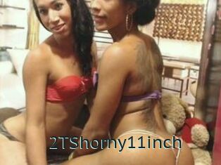2TShorny11inch