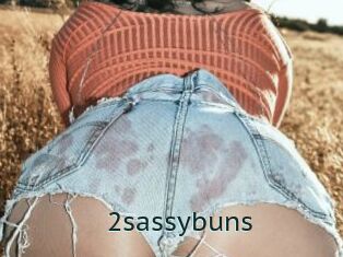 2sassybuns