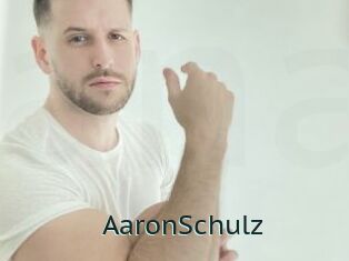 AaronSchulz