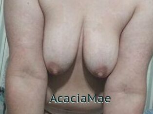 AcaciaMae
