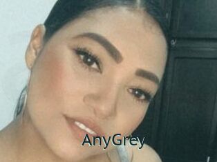 AnyGrey Anal X