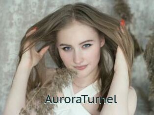 AuroraTurnel