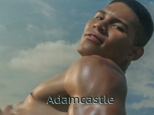 adamcastle Anal X