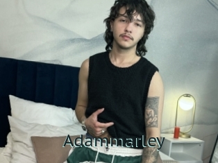 adammarley Anal X