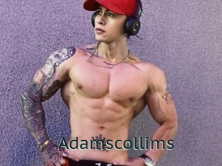 Adamscollims