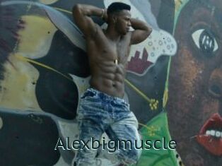 Alexbigmuscle