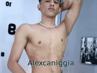 Alexcaniggia