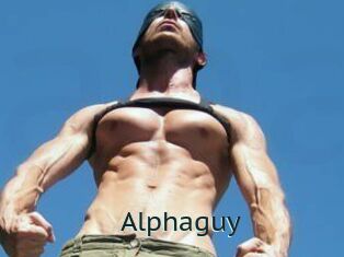 Alphaguy
