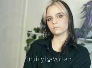 Amitybawden