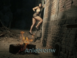 Aniebronw