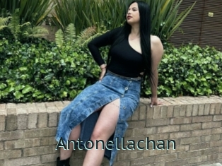 Antonellachan