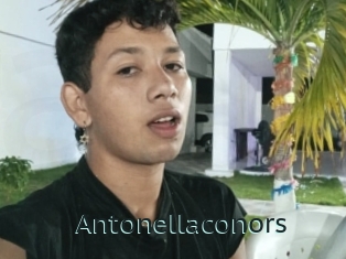 Antonellaconors