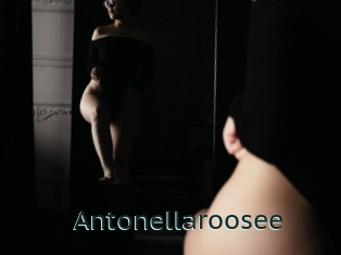 Antonellaroosee