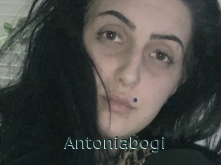 Antoniabogi