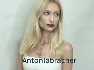 Antoniabracher