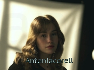 Antoniacorell