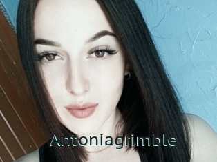 Antoniagrimble