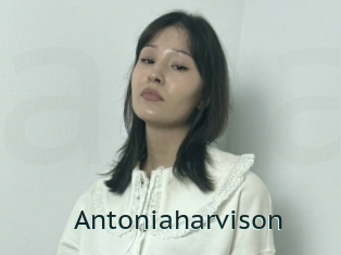 Antoniaharvison