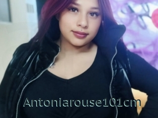 Antoniarouse101cm