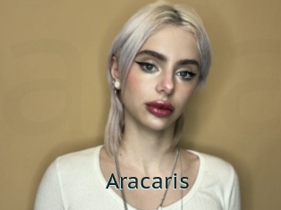 Aracaris