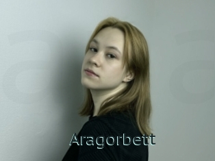 Aragorbett