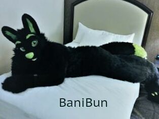 BaniBun
