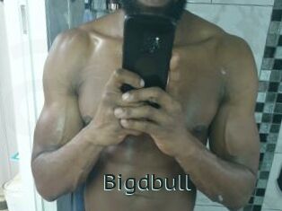 Bigdbull
