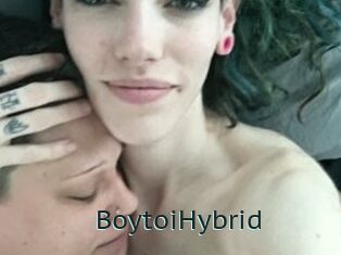 BoytoiHybrid