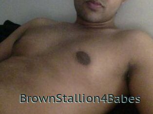 BrownStallion4Babes