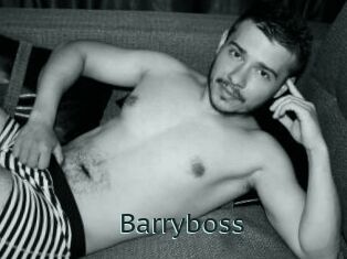 Barryboss