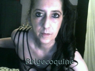 Belgecoquine