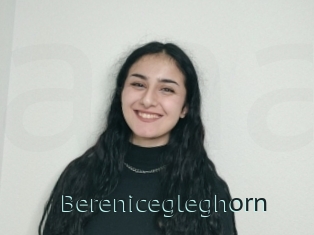 Berenicegleghorn