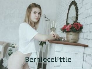 Berniecelittle