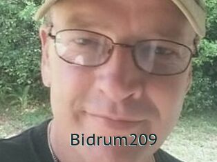 Bidrum209