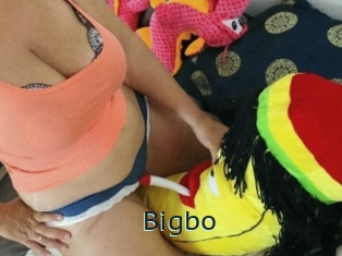 Bigbo