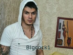 Bigcock1