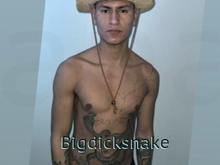 bigdicksnake Anal X