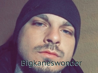 Bigkaneswonder