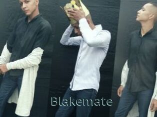 Blakemate