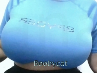 Boobycat