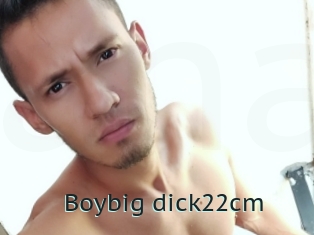 Boybig_dick22cm