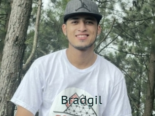 Bradgil