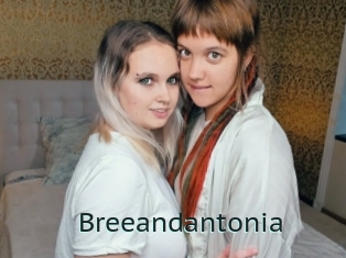 Breeandantonia