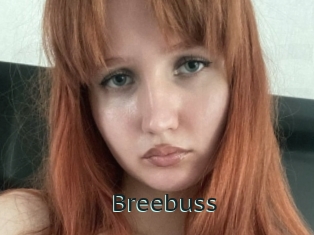 Breebuss