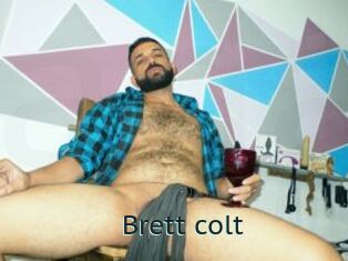Brett_colt