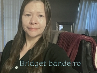 Bridget_banderro