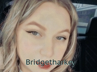 Bridgetharkey