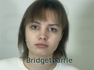 Bridgetharrie