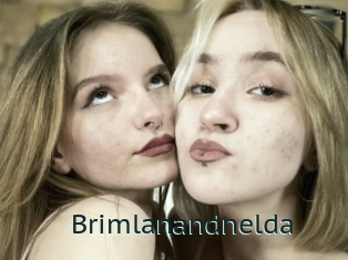 Brimlanandnelda