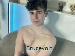 Brucevolt